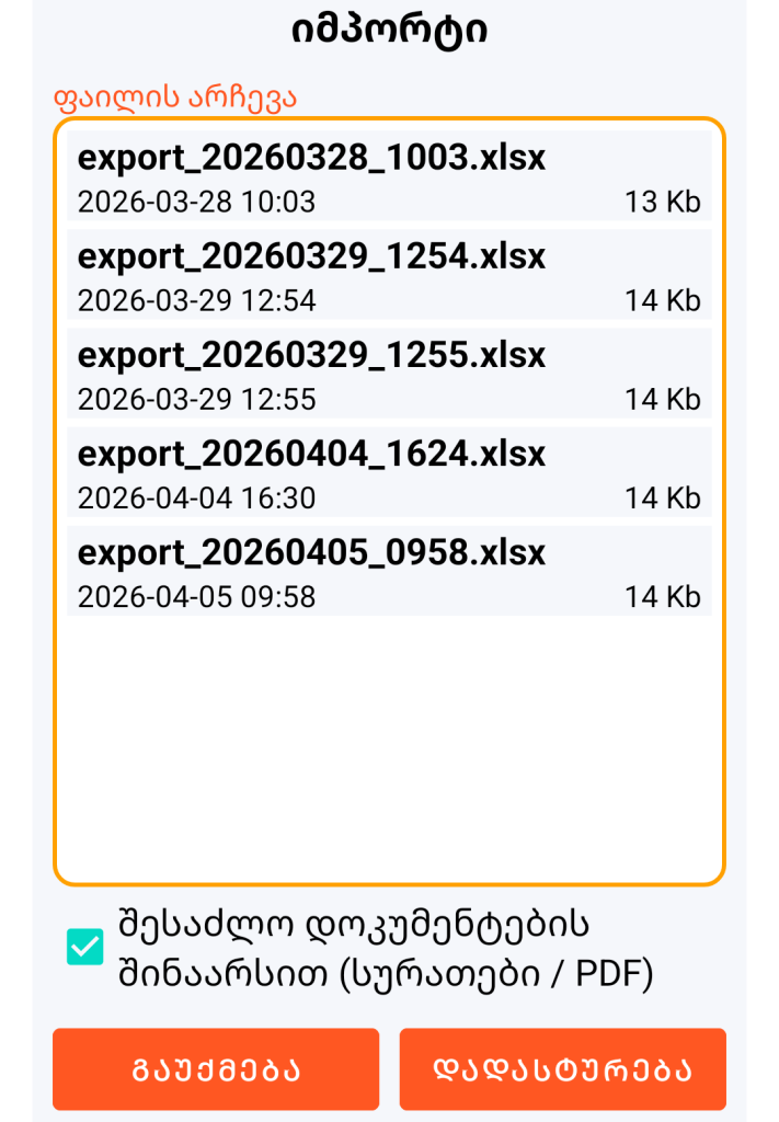 LocalSafeBox - იმპორტირებადი XLSX ფაილის მართვა