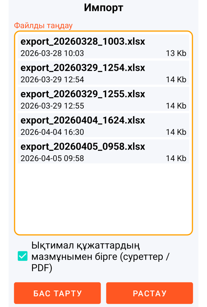 LocalSafeBox — Импортталатын XLSX файлын басқару