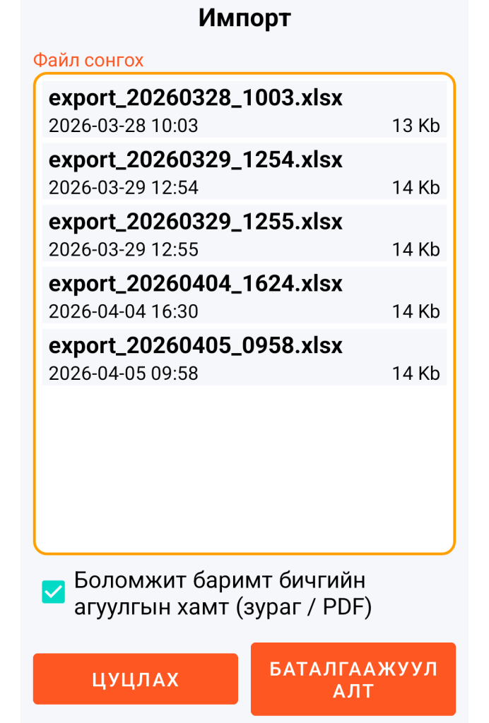LocalSafeBox - Импортлох XLSX файлын удирдлага