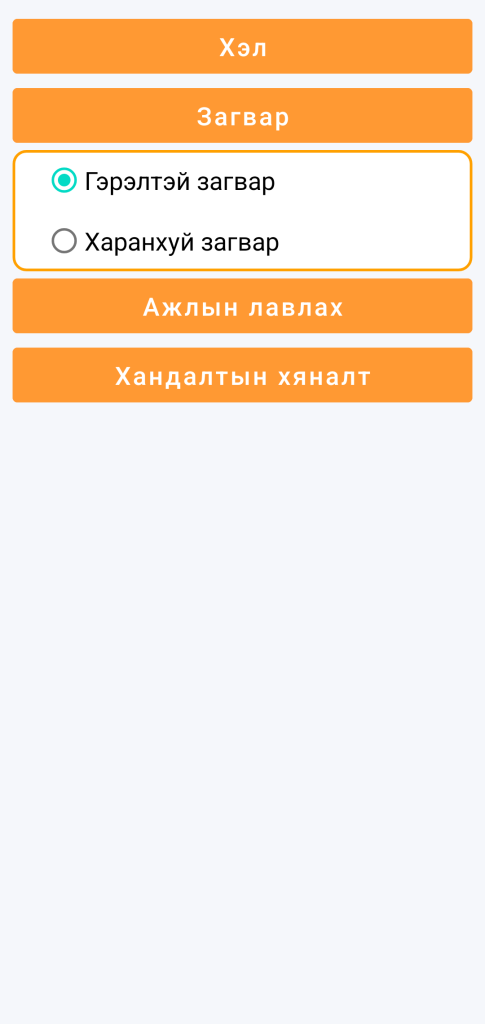 LocalSafeBox - Загвар сонгох