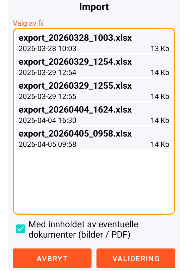 LocalSafeBox - Administrasjon av XLSX-fil som skal importeres