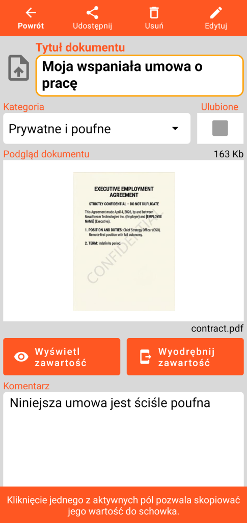 LocalSafeBox – Podgląd Document zawierającego plik PDF
