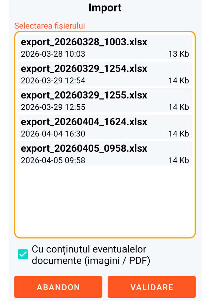 LocalSafeBox - Gestionarea fișierului XLSX de importat