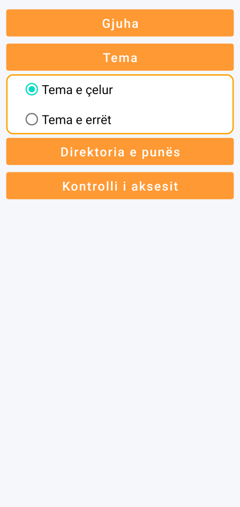 LocalSafeBox - Zgjedhja e temës
