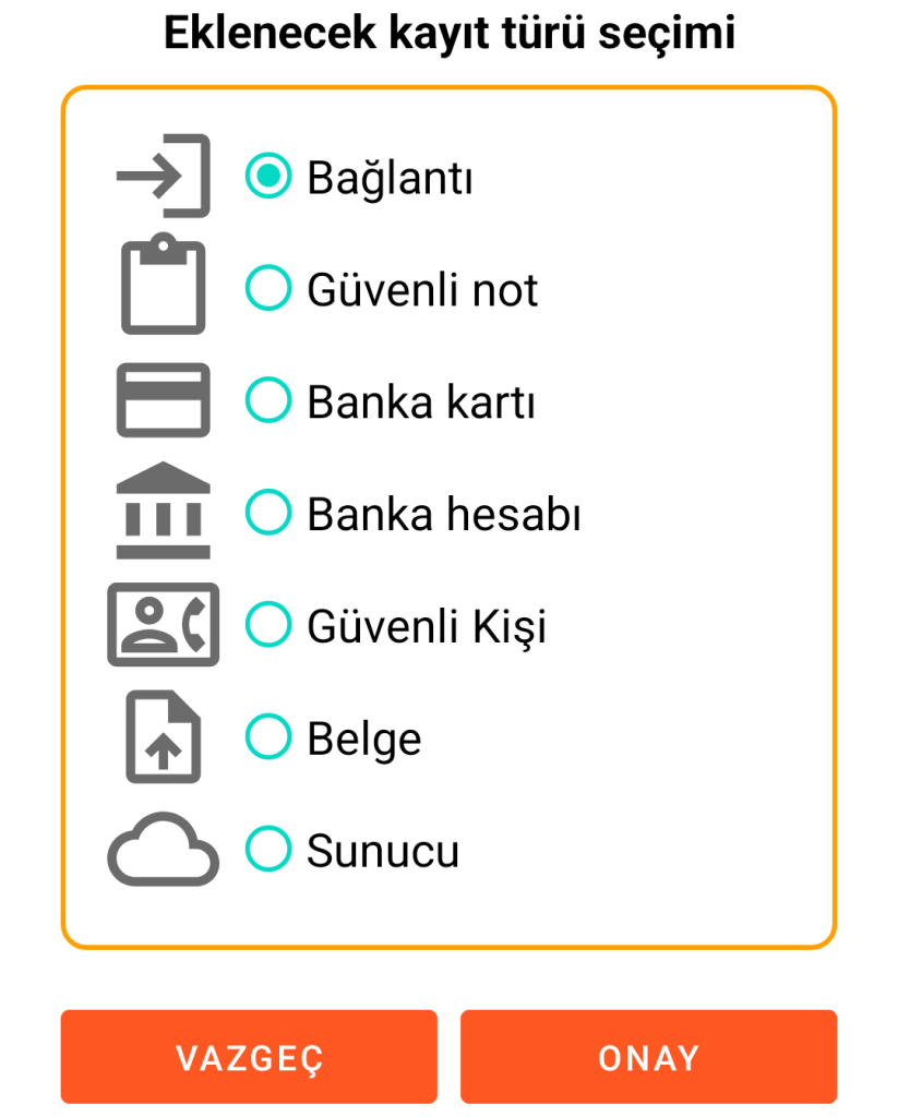 LocalSafeBox - Kayıt ekleme